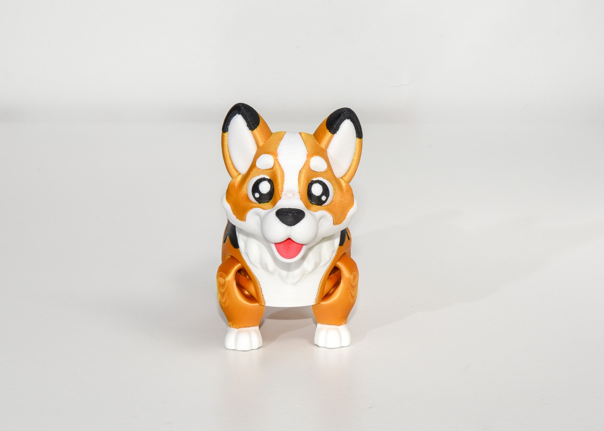 Corgi