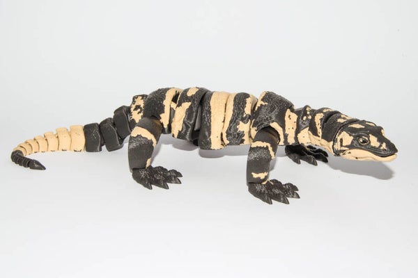 Goanna Banded