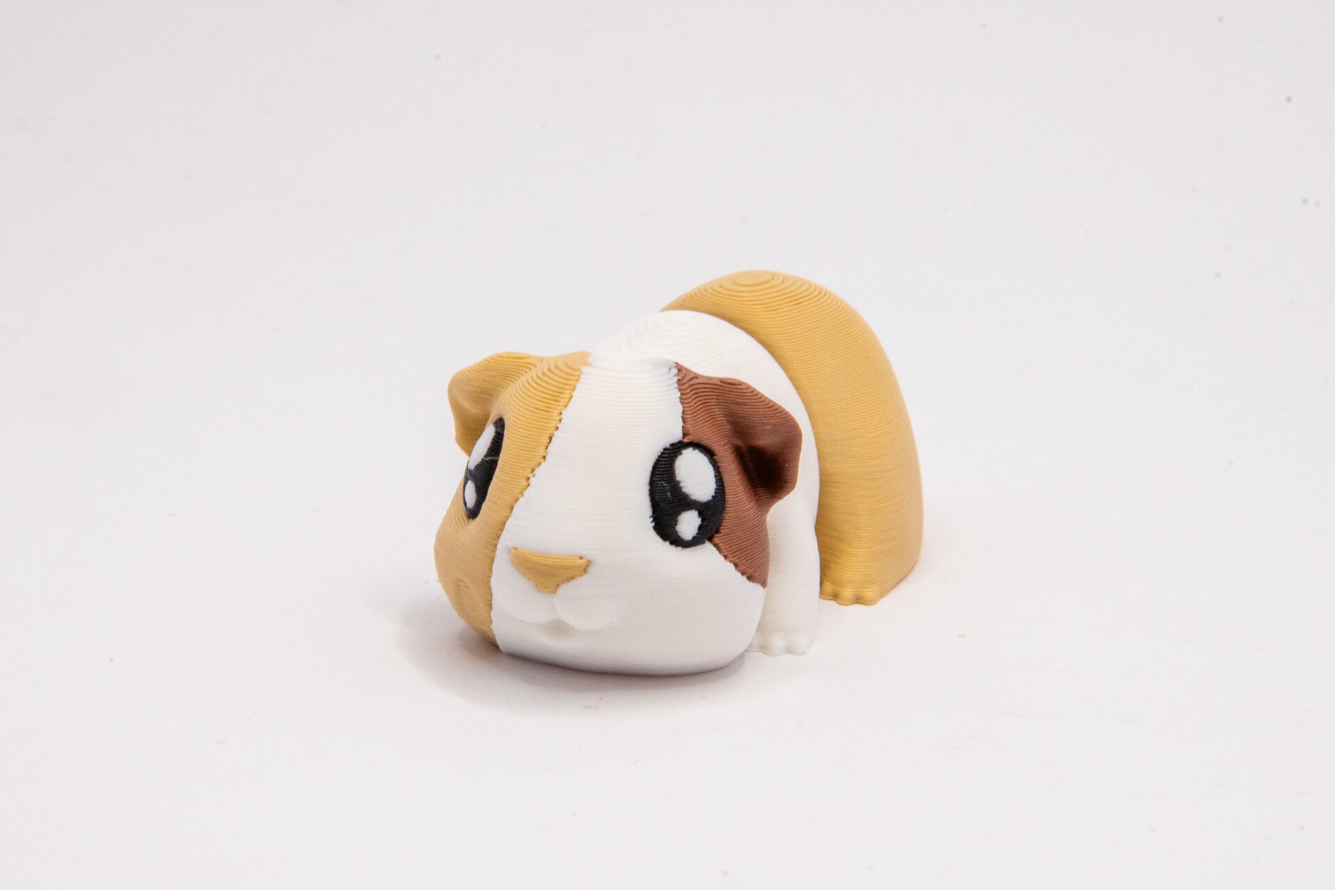 Guinea Pig Mini (White)