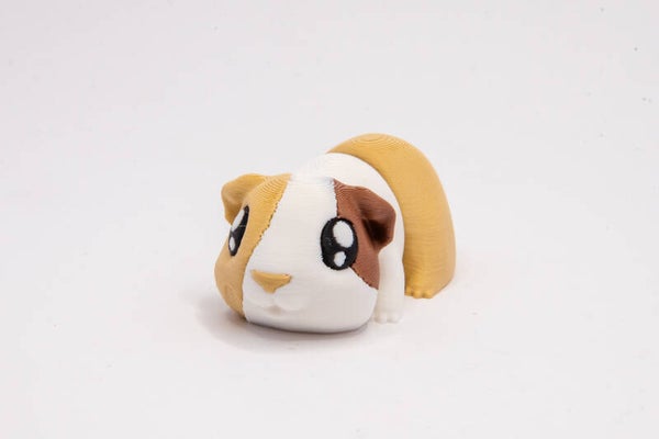 Guinea Pig Mini (White)