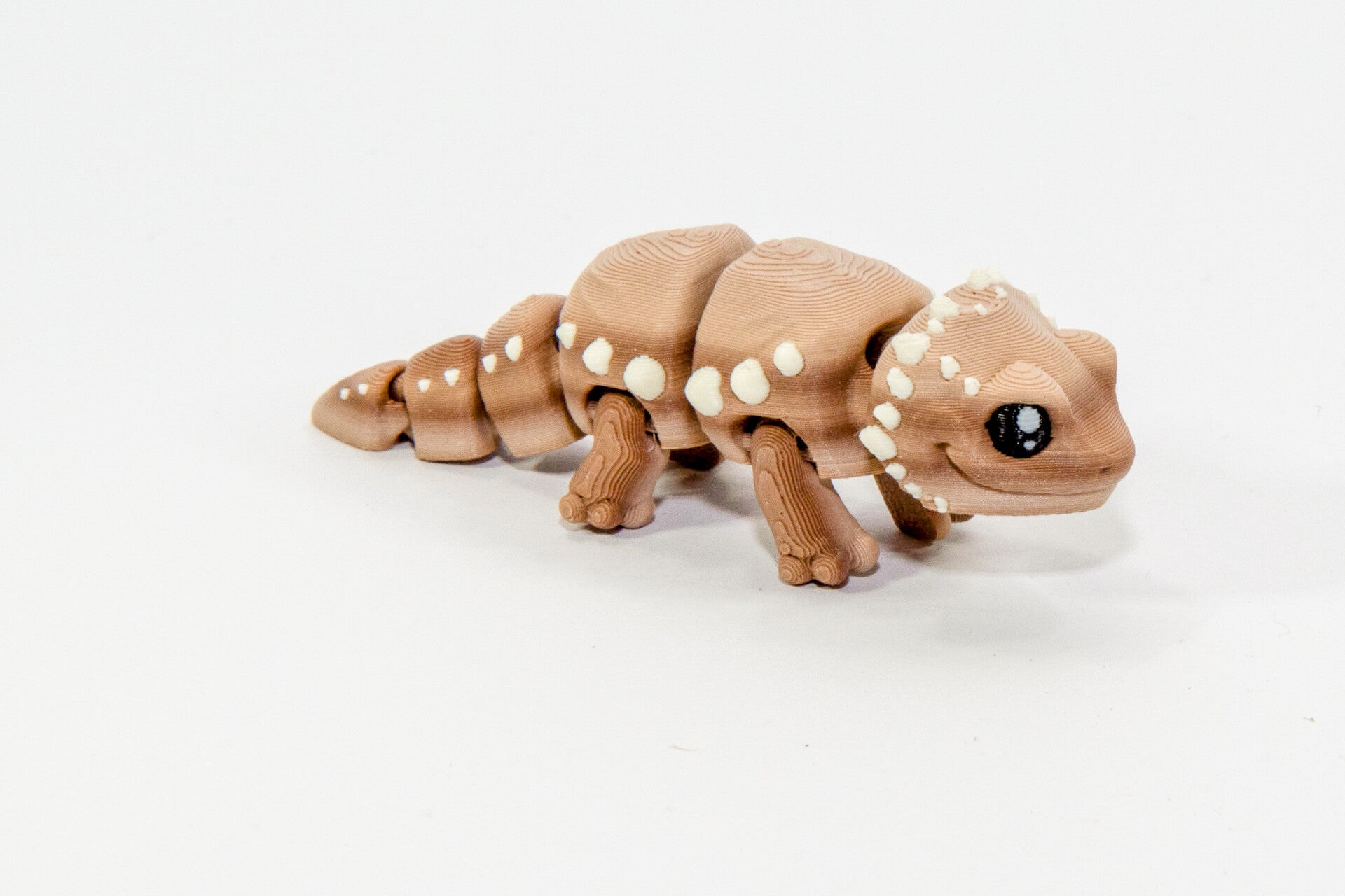 Mini Baby Bearded Dragon