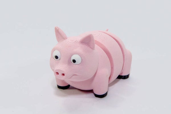 Mini Pig