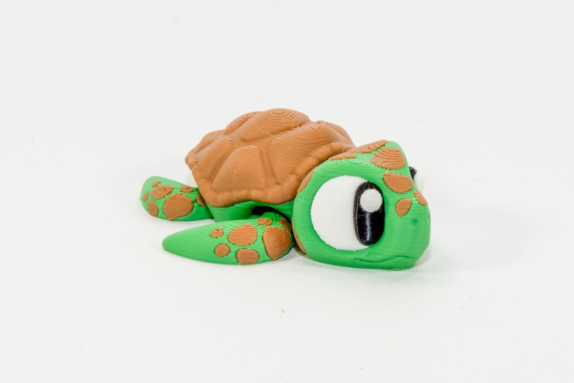 Mini Turtle