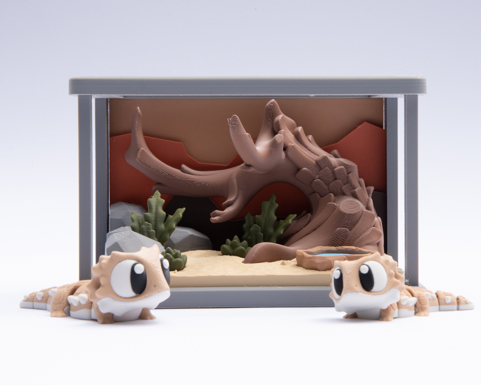 Tiny Bearded Dragon Terrarium