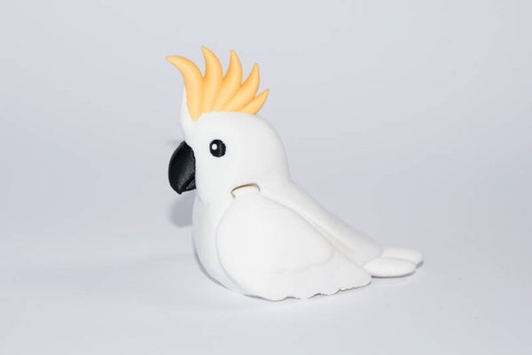 Sulphur-Crested Cockatoo
