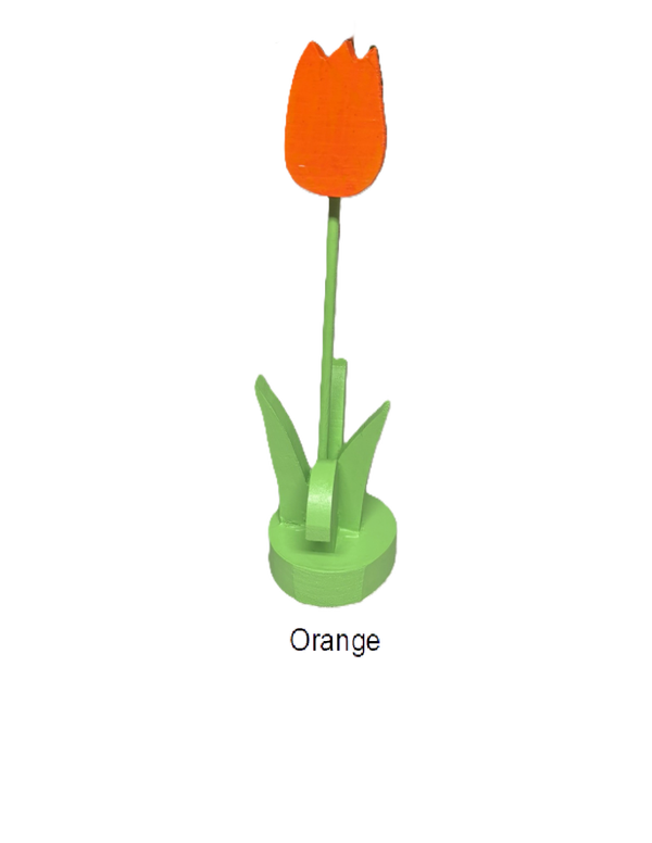 Gregs Tulips