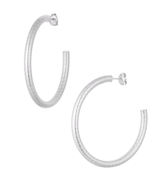 Oorbellen snake print - zilver