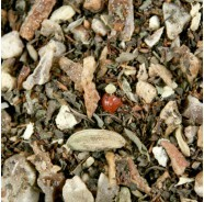 Tulsi sinaasappel gember BIO (fruit- en kruidenthee)