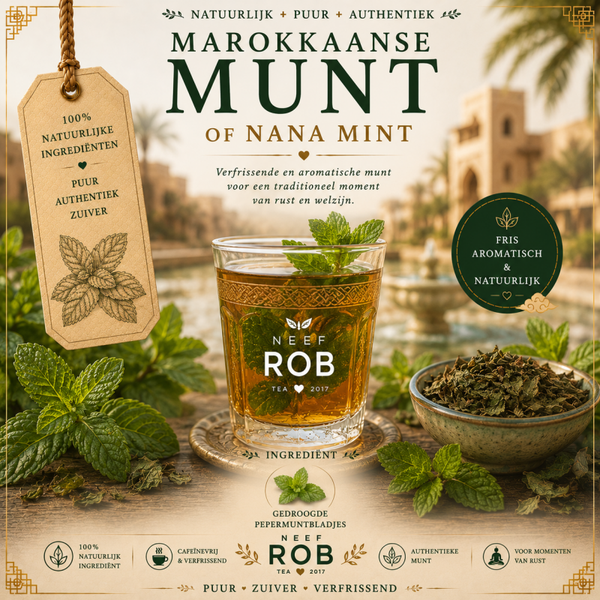 Marokkaanse munt