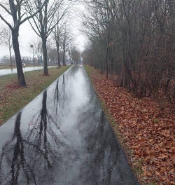 laufchallenge2023_5-standard.jpg