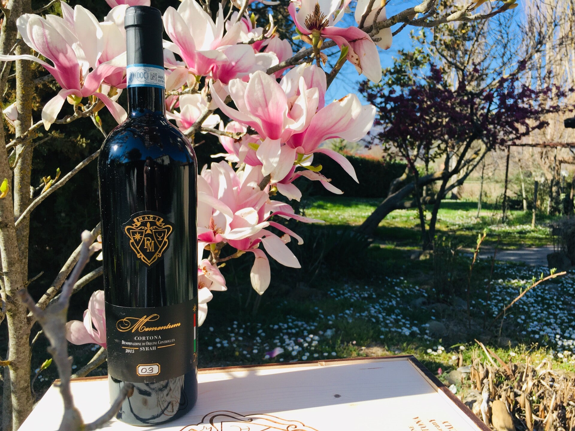 Syrah Mementum D.O.C. vino rosso