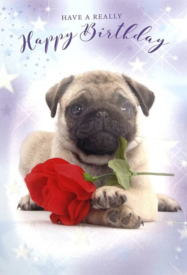 Happy Birthday Card - Pug