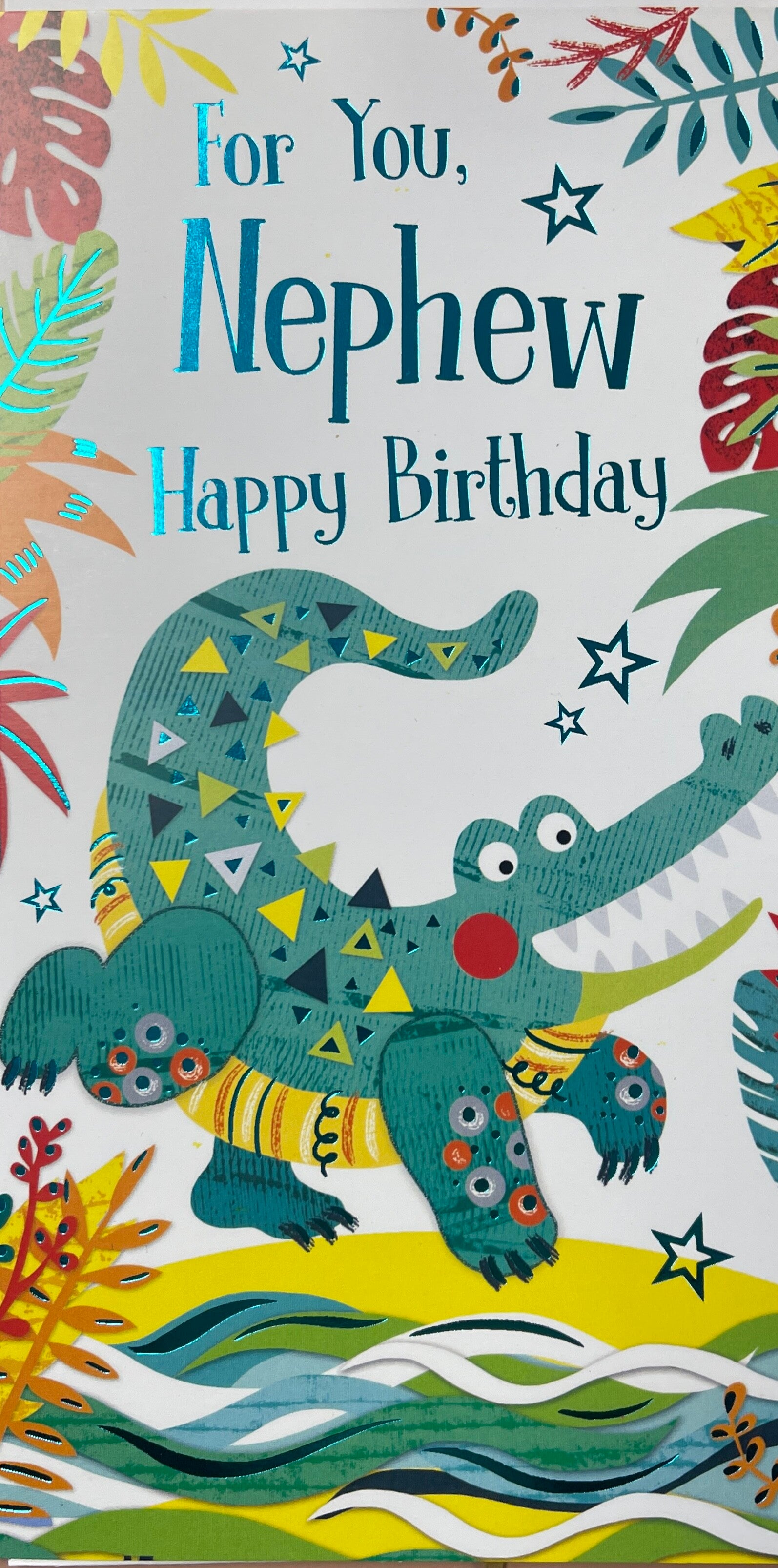 Nephew birthday card