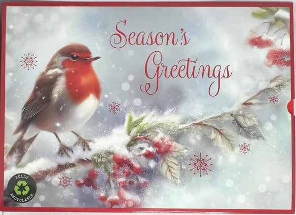Christmas box cards - 12 Premium Christmas Cards - Seasons Greetings