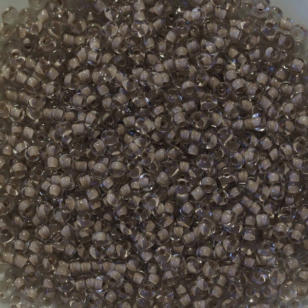 11/0-C13b Transp. Int. Vx. Rose