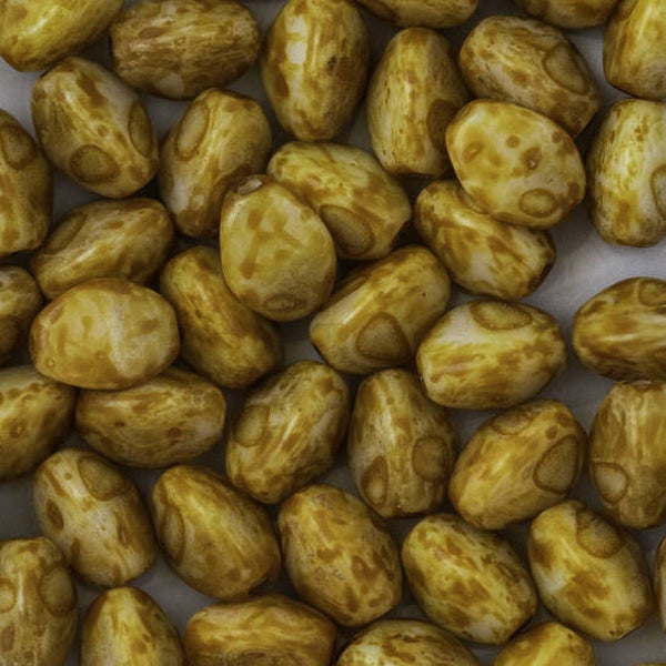 PB 03000/86805 chalk white dark travertin