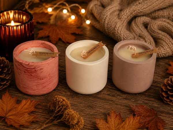 Cozy Potkaars