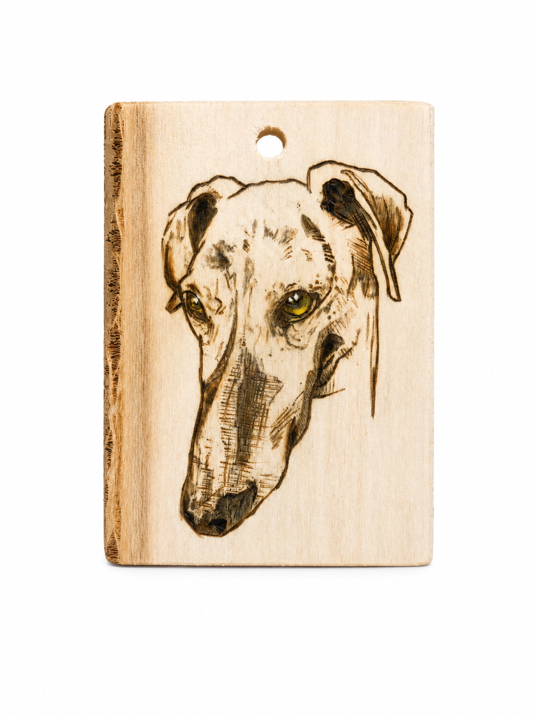 Halshanger Greyhound