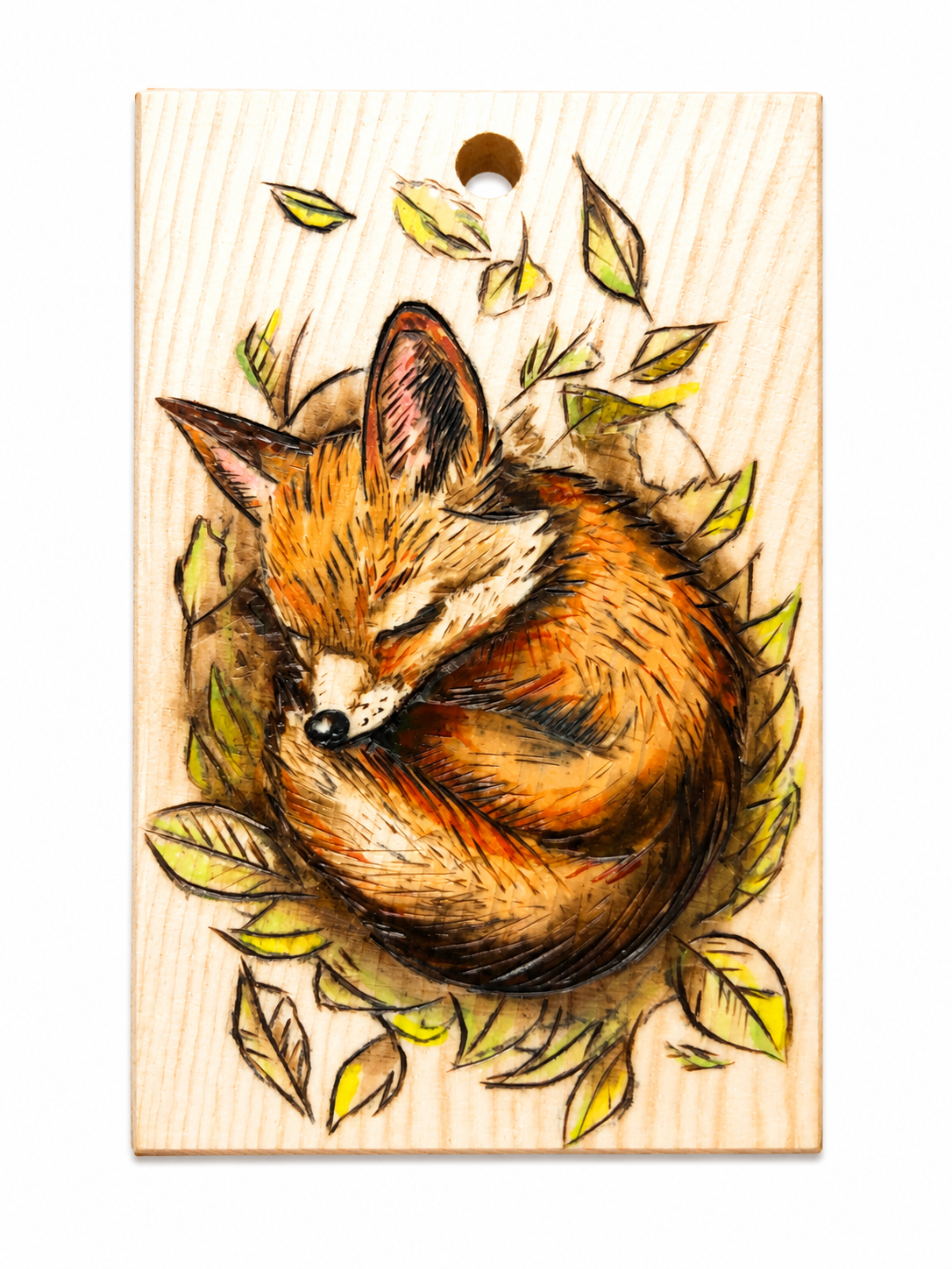 Sleepy Fox, Zirbe