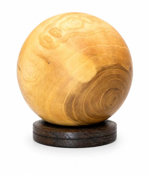 Kogel Moerbei, 12 cm