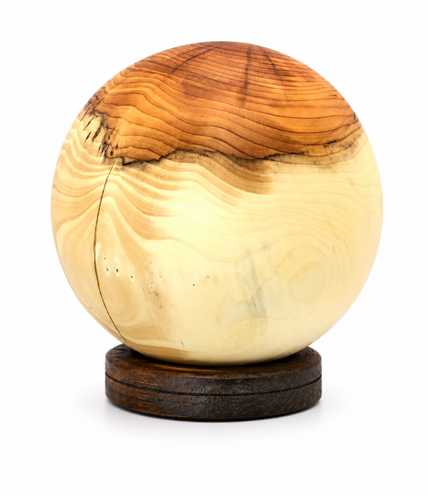 Kogel Taxus 2, 11 cm