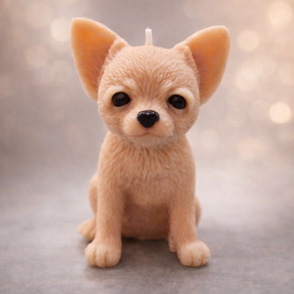 Vela Perrito Chihuahua