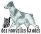 Bouledogues Français des nouvelles Landes