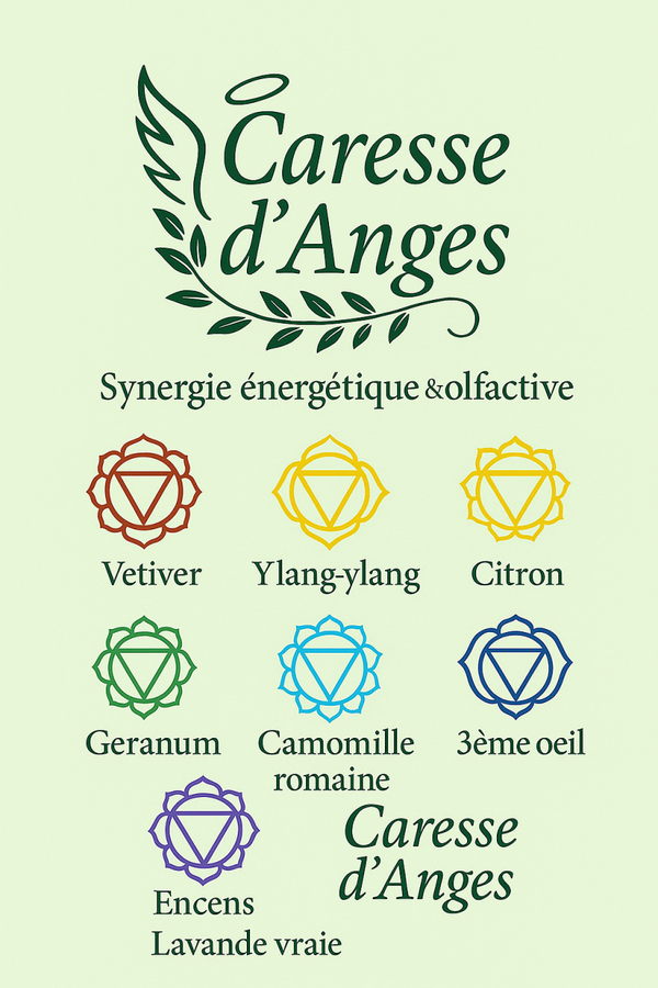 Roll on 7chakras (7*5ml)