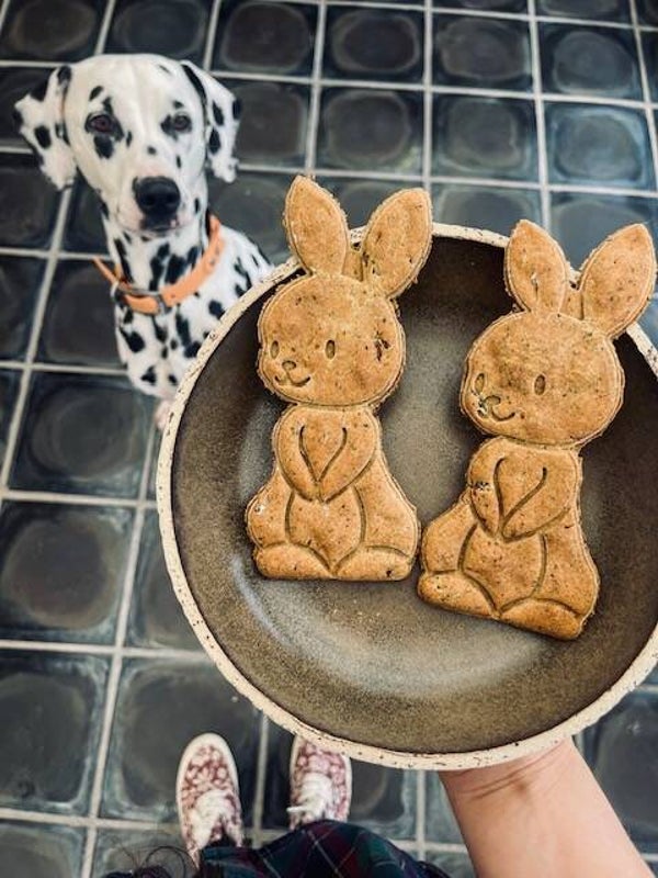 Paashaasjes Groot