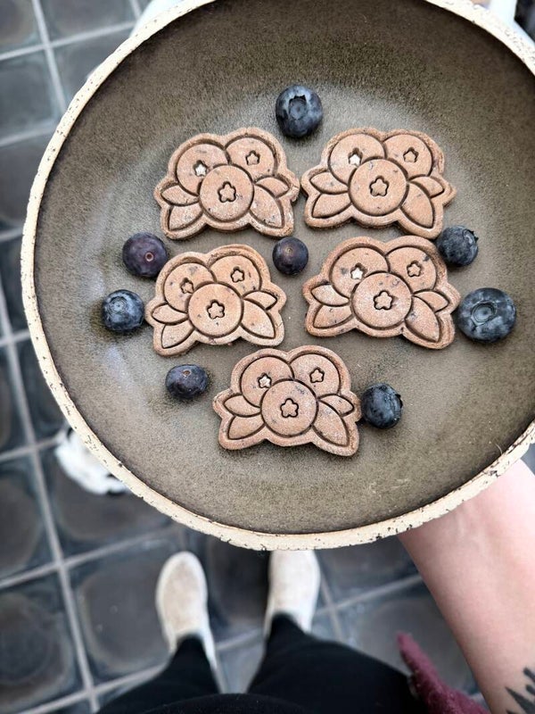 Blueberry Cookies