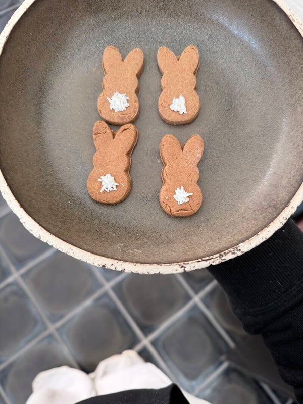 paashaasjes