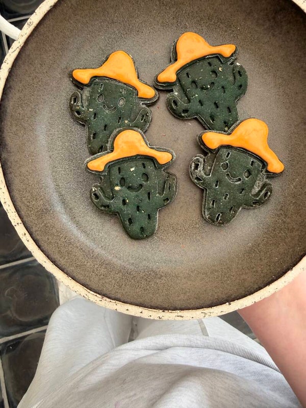 cactusjes
