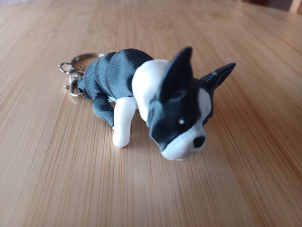 3D Hondensleutelhanger een uniek geschenk