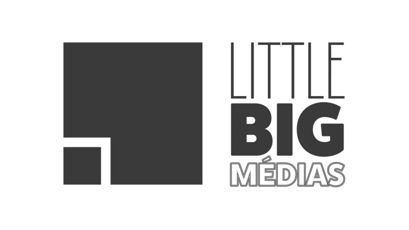 Little Big Medias