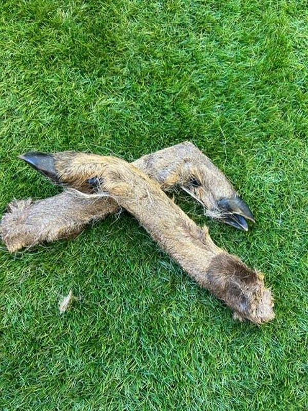 Venison Hairy Deer Leg 1pc