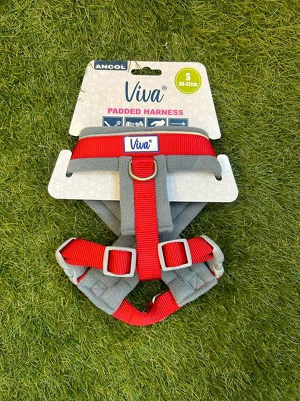 Ancol Padded Harness Red Small