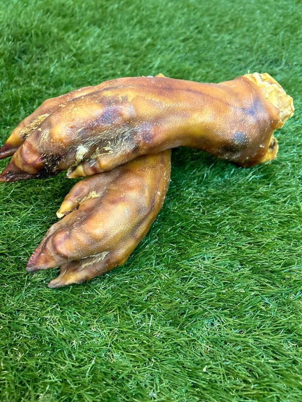 Pig Trotter 1pc