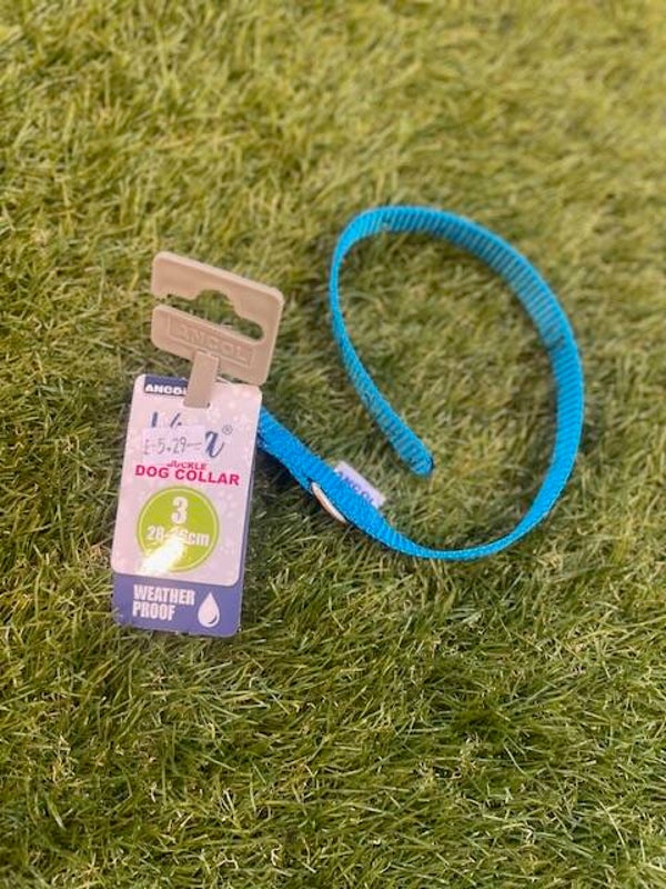 Ancol Dog Collar Blue Small