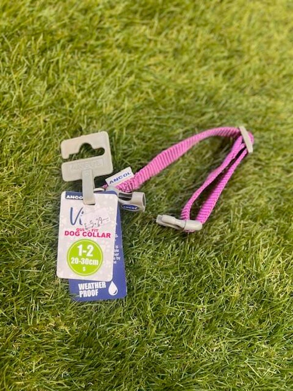 Ancol Dog Collar Purple Small
