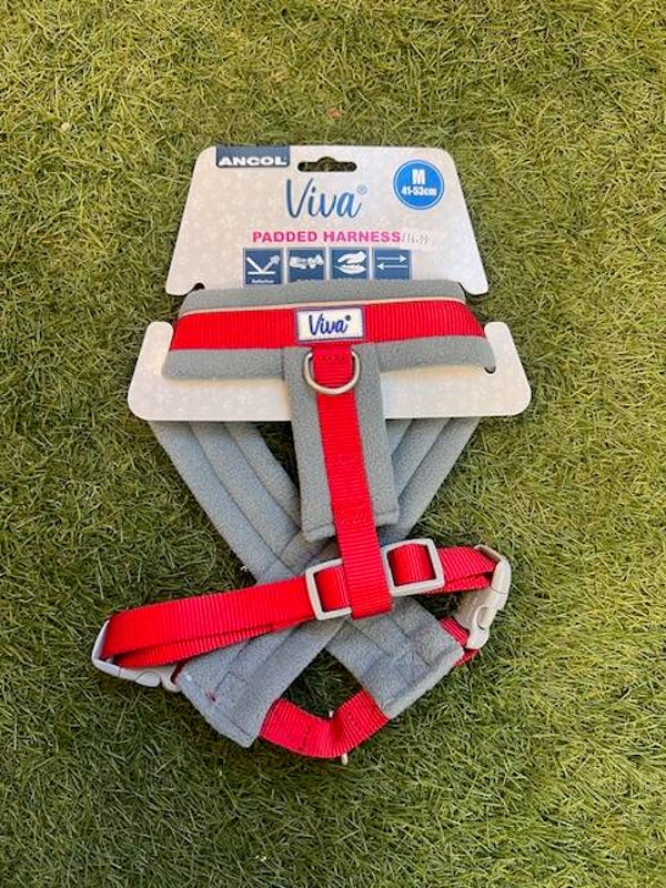 Ancol Padded Harness Red M