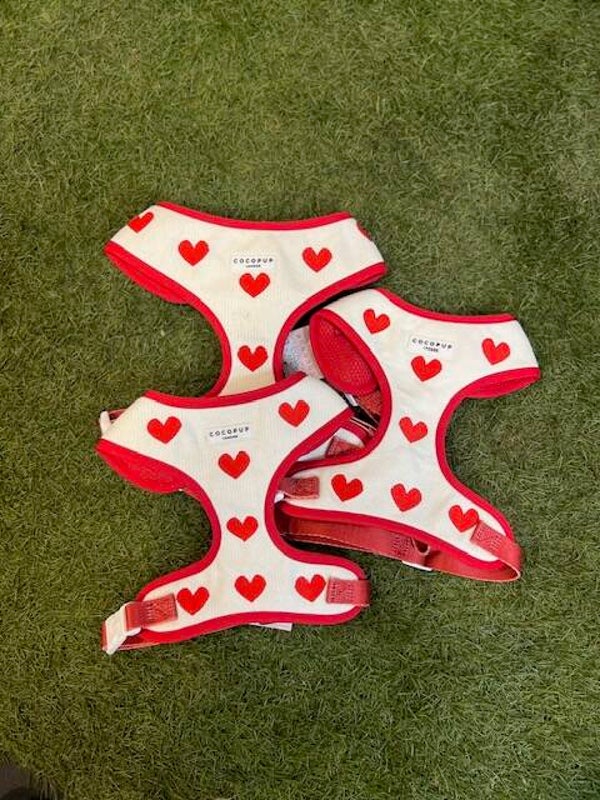Cocopup London Heart Harness