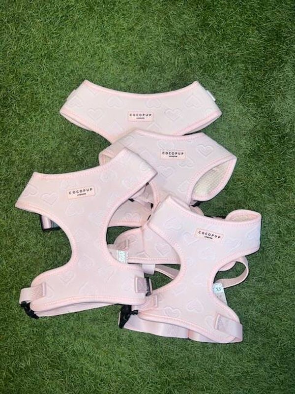 Cocopup London Pink Heart Harness