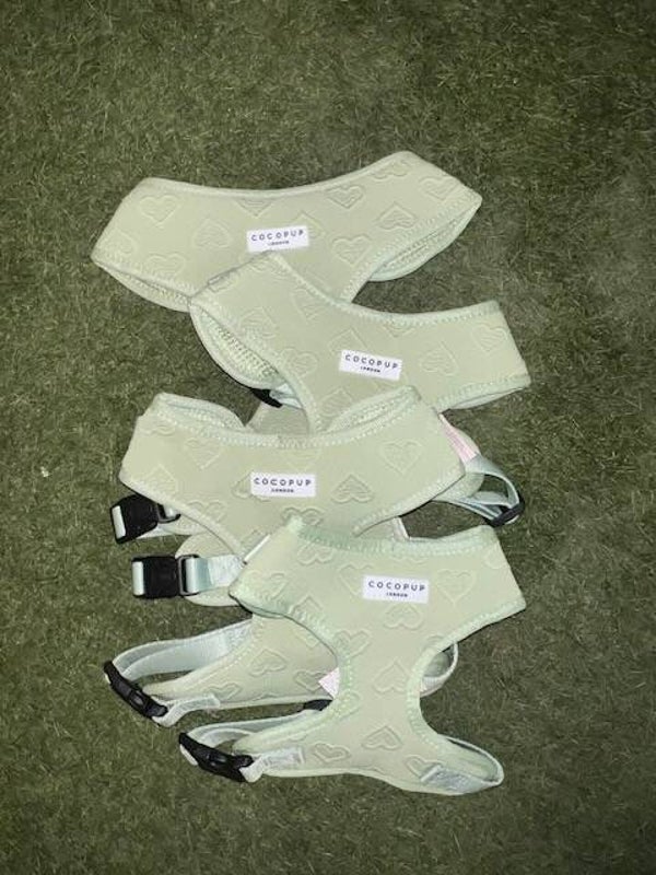 Cocopup London Sage Green Heart Harness