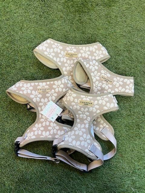 Cocopup London Mocha Harness