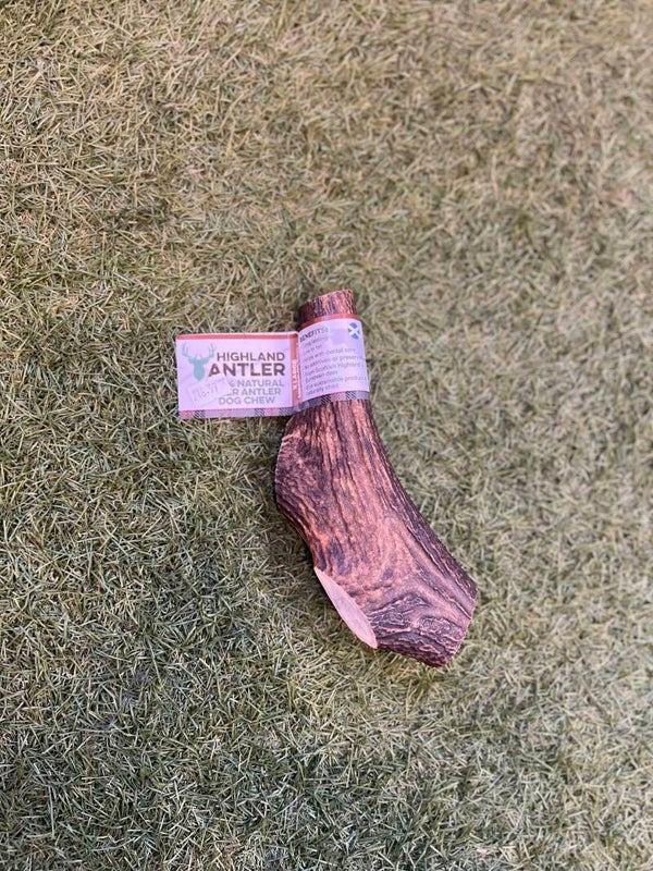 Highland Antler XLarge