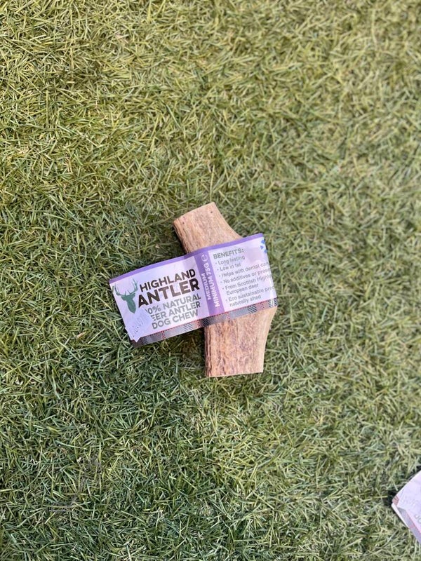 Highland Antler Medium