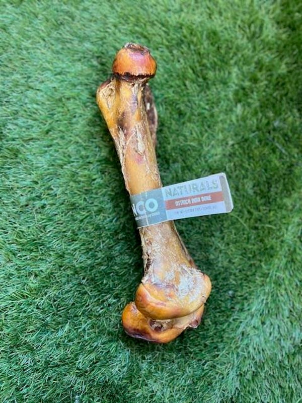 Ostrich Dino Bone 1pc
