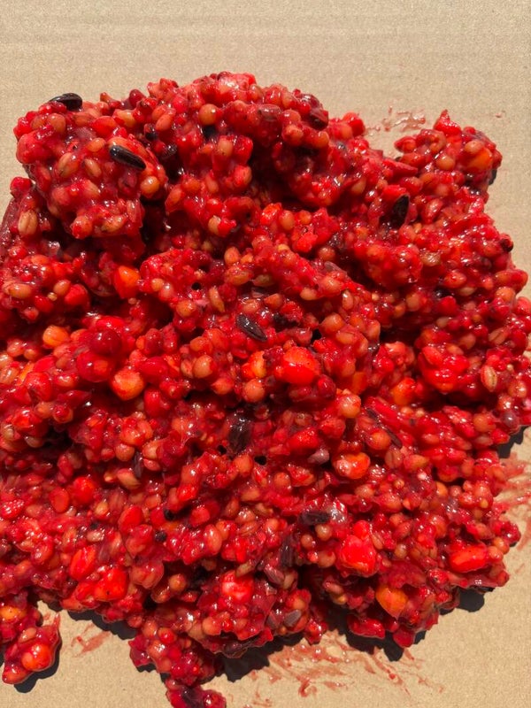 Creamy RED Scopex