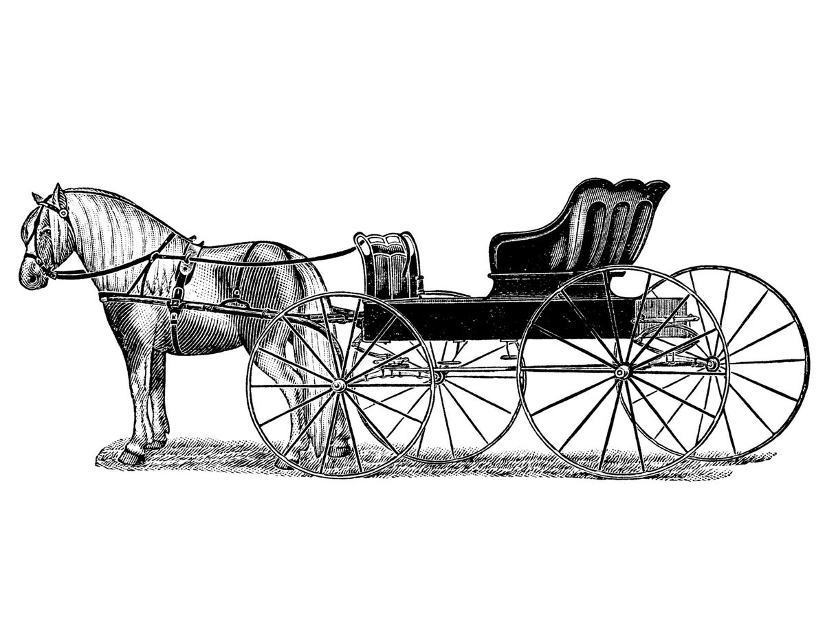 The Country Doctor