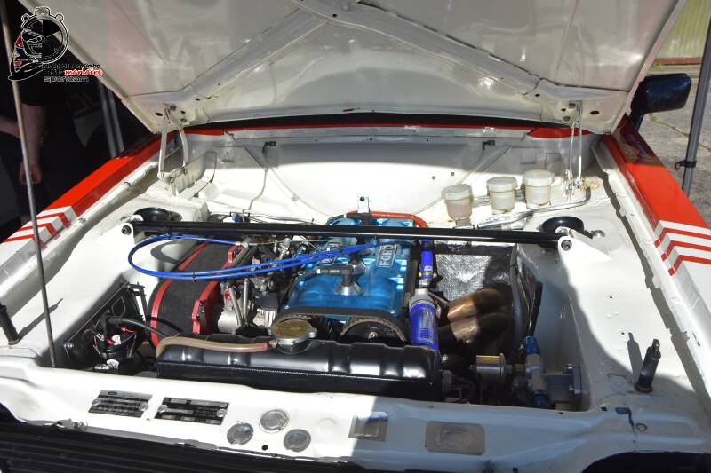 dsc_3762-standard-sngqq1.jpg